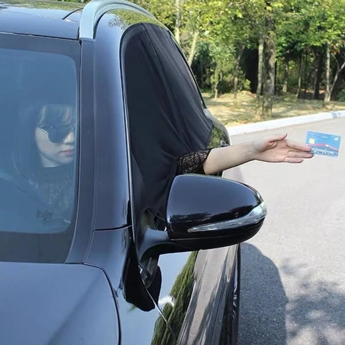 Mrežasti komarnik za auto SET OD 2 KOMADA